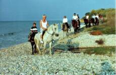 Horse Riding Corfu